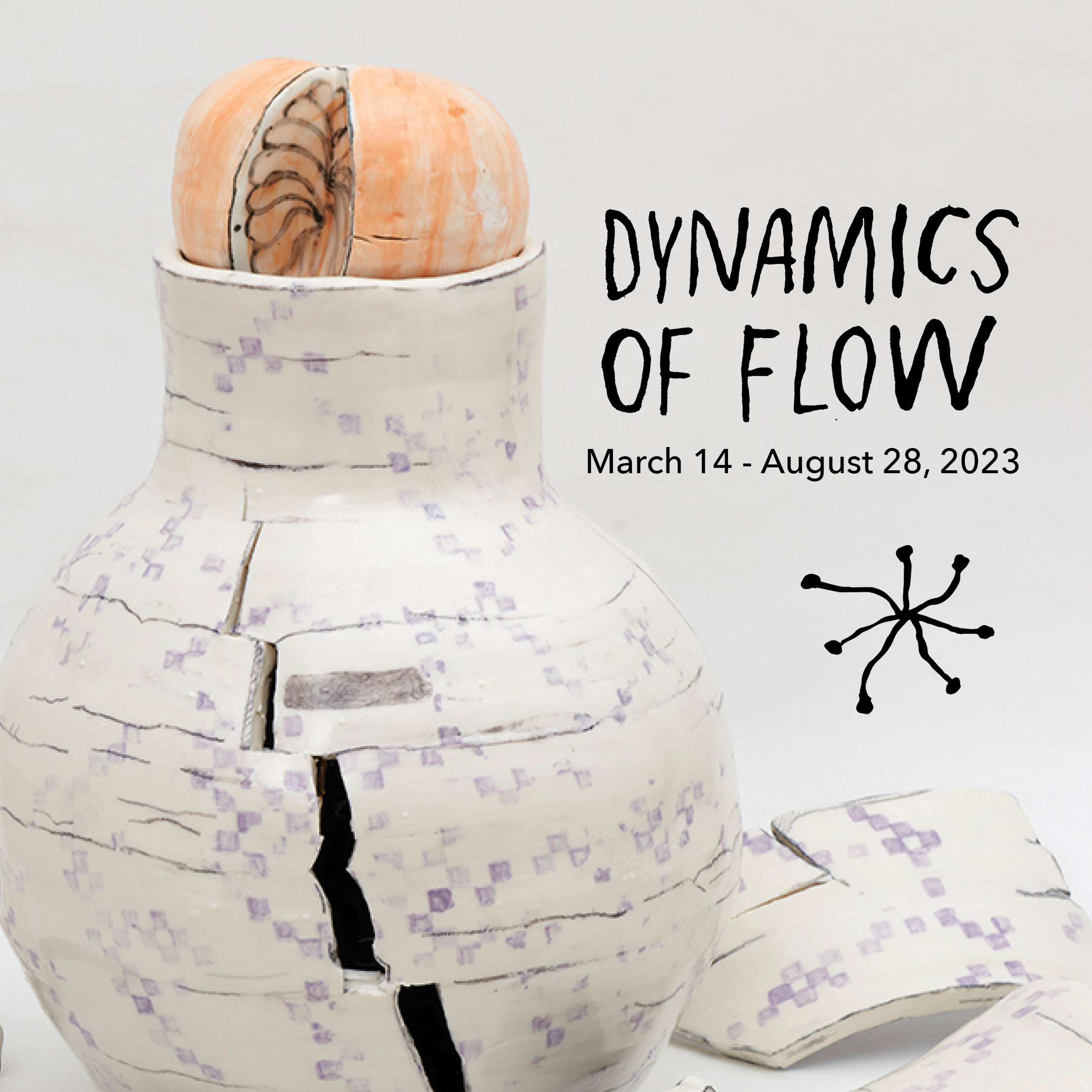 Dynamics of Flow